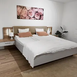 eine-schne-wohnung-im-herzen-von-basel.hotelsbaselswitzerland.com/